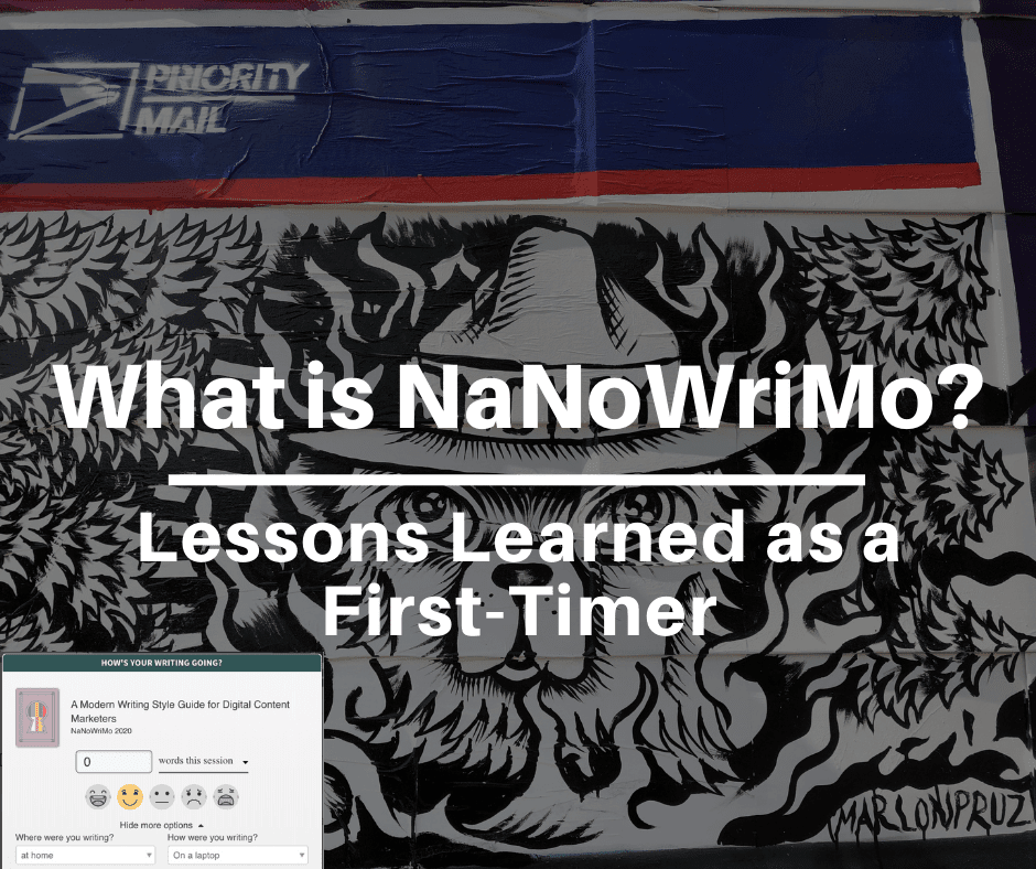 What is NaNoWriMo